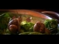 Snail Family video